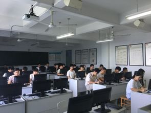 動態(tài)網(wǎng)站開發(fā)專項實訓(xùn) 計算機(jī)應(yīng)用技術(shù)學(xué)生的技術(shù)提升之路